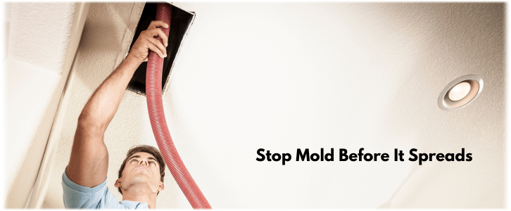 Air Duct Mold Removal in Carrollton TX